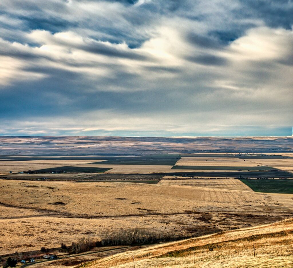 How Far Is Walla Walla From Seattle? Distance & Time how far is walla walla from seattle 1781785300472