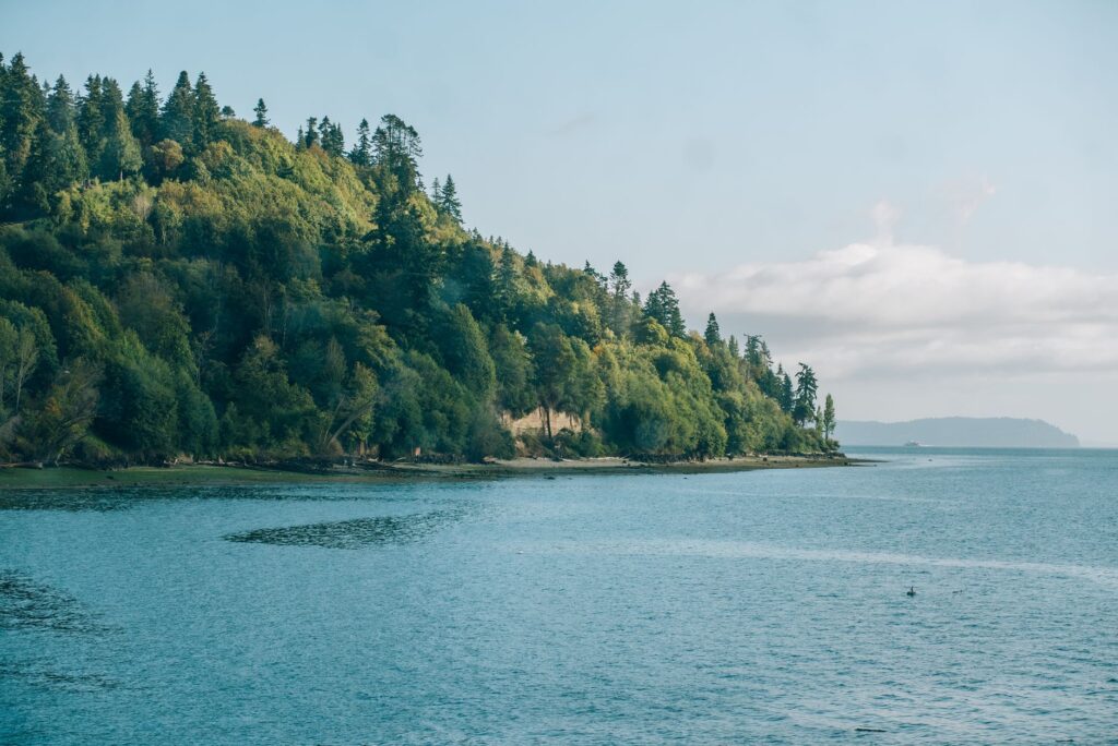 Unique & Unusual Things to Do in Seattle: Top Local Picks non touristy things to do in seattle 1781931098309