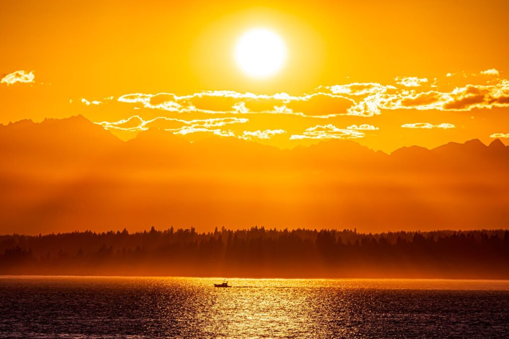 Seattle to Olympic National Park by Ferry: A Local's Guide seattle to olympic national park ferry 1781930950146