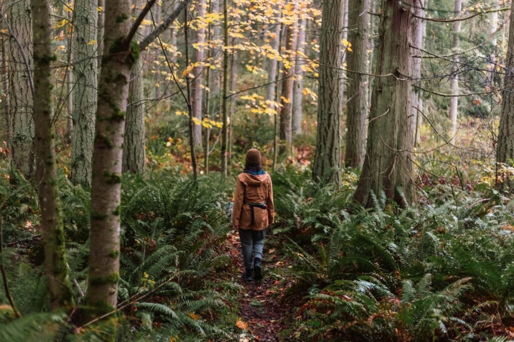 Best Urban Hikes in Seattle (No Car Needed): A Local's Guide urban hikes seattle 1783525954789