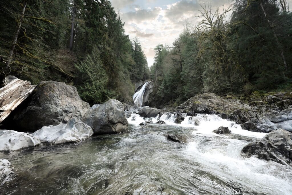 falls near seattle 1787624015026